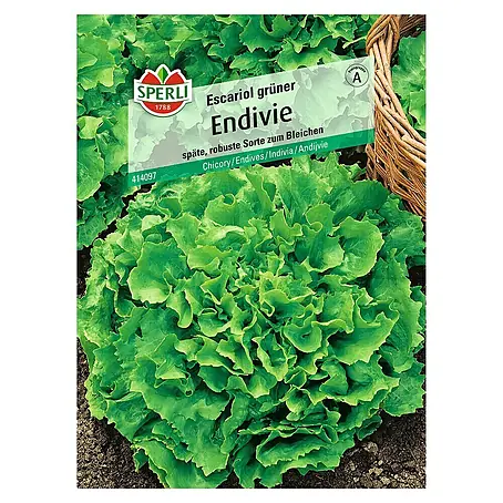 Sperli  Salatsamen Endivie Escariol grüner