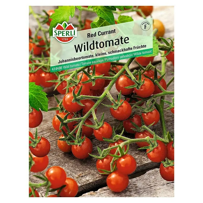 Sperli Gemüsesamen Wildtomate - Red Currant, Solanum lycopersicum, Erntezeit: Juli - Abbildung einer Samenpackung 'Rote Johannisbeere Wildtomate' von Sperli, mit reifen, roten Wildtomaten.