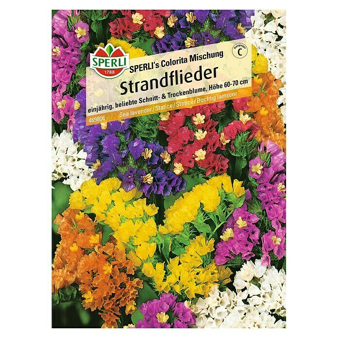 Sperli Blumensamen Strandflieder (Limonium sinuatum, Blütezeit: Juli) | BAUHAUS