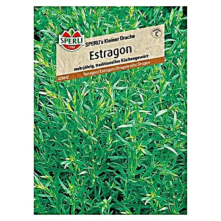 Sperli Kräutersamen Estragon Kleiner Drache (Artemisia dracunculus, Saatzeit: Mai, Erntezeit: Juli)
