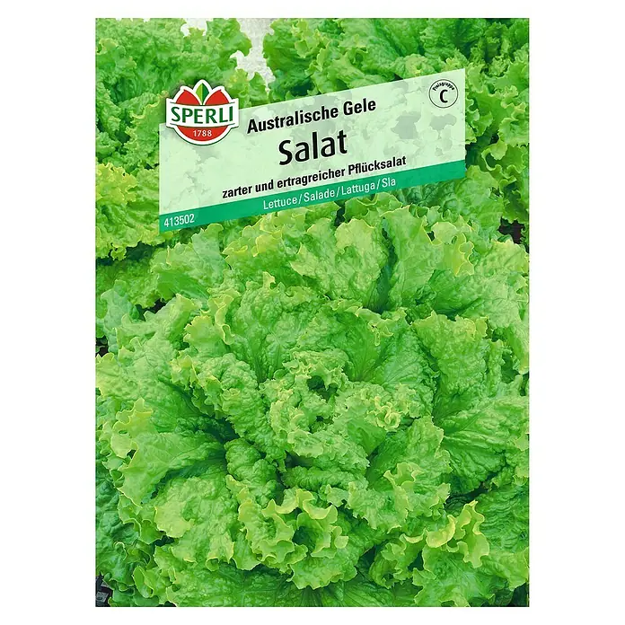 Sperli Salatsamen Pflücksalat - Australische Gele, Lactuca sativa, Erntezeit: Mai - Abbildung eines Sämereipakets "Australische Gele Salat" von Sperli, einer zarten und ertragreichen Pflücksalatsorte.