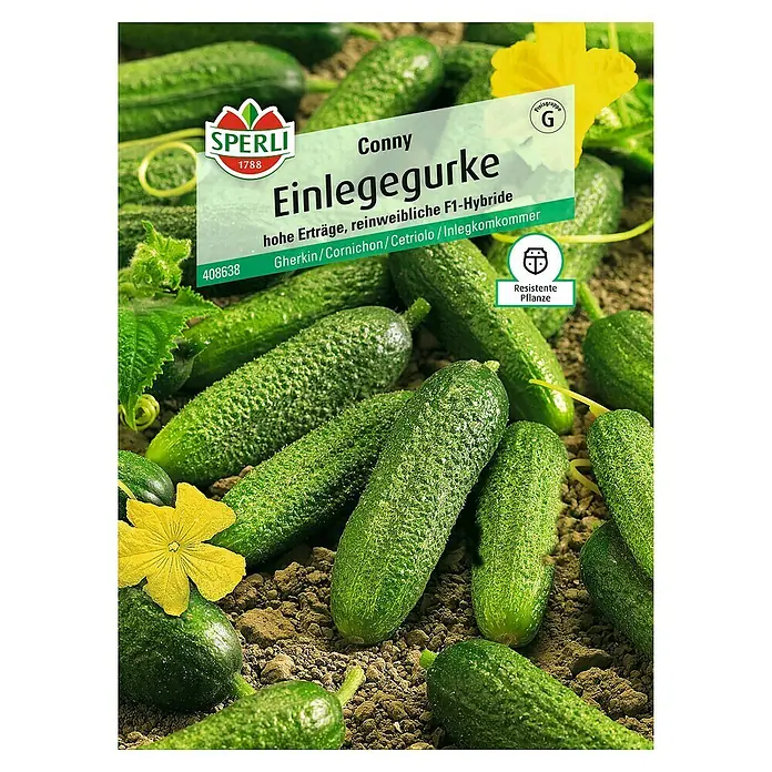 Sperli Gemüsesamen Einlegegurke - Conny, Cucumis sativus, Erntezeit: Juli - Abbildung des Saatguts "Conny Einlegegurke" von Sperli, einer F1-Hybride für hohe Erträge und resistenten Pflanzen, ideal zum Einlegen.