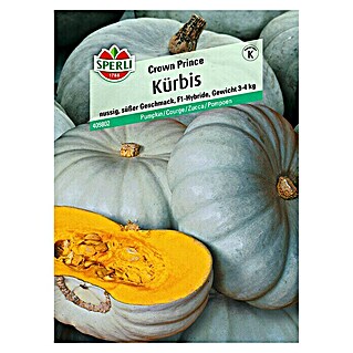 Sperli Gemüsesamen Kürbis (Crown Prince, Cucurbita maxima, Erntezeit: September)