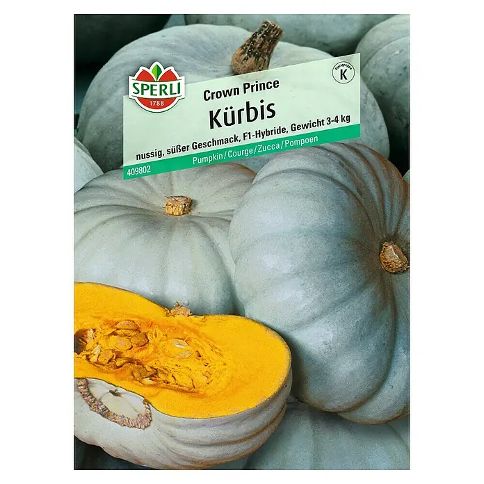 Sperli Gemüsesamen Kürbis - Crown Prince, Cucurbita maxima, Erntezeit: September - Abbildung des Saatguts für 'Crown Prince' Kürbisse von Sperli, einer F1-Hybride mit einem Gewicht von 3-4 kg.