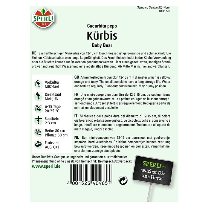 KUERBIS  BABY BEAR