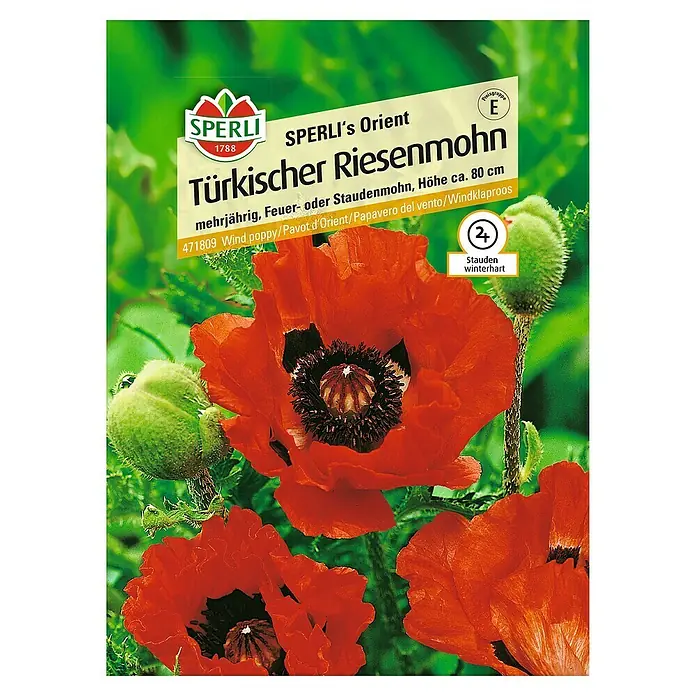 Sperli Blumensamen Türkischer Riesenmohn - Papaver orientale, Blütezeit: Juli - Samenpackung Türkischer Riesenmohn von Sperli's Orient. Mehrjährige, winterharte Staude mit leuchtend roten Blüten und dunklem Zentrum.