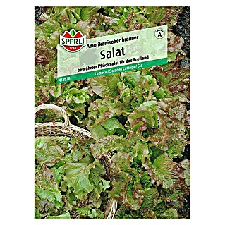 Sperli Salatsamen Pflücksalat (Amerikanischer brauner, Lactuca sativa, Erntezeit: Mai)