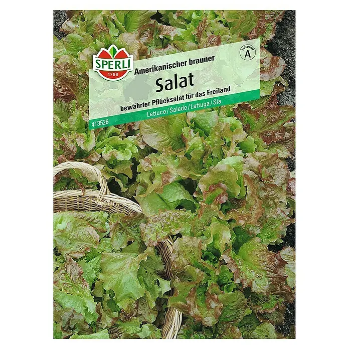 Sperli Salatsamen Pflücksalat - Amerikanischer brauner, Lactuca sativa, Erntezeit: Mai - Das Bild zeigt eine Packung 'Amerikanischer brauner Salat' Samen von Sperli, ein bewährter Pflücksalat für den Freilandanbau.