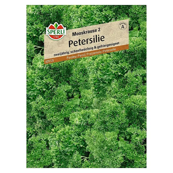 Sperli Kräutersamen Petersilie - Mooskrause 2, Petroselinum crispum, Saatzeit: März, Erntezeit: Ganzjährig - Samenpackung Mooskrause 2 Petersilie von Sperli, zweijährig, schnellwüchsig und gefriergeeignet.