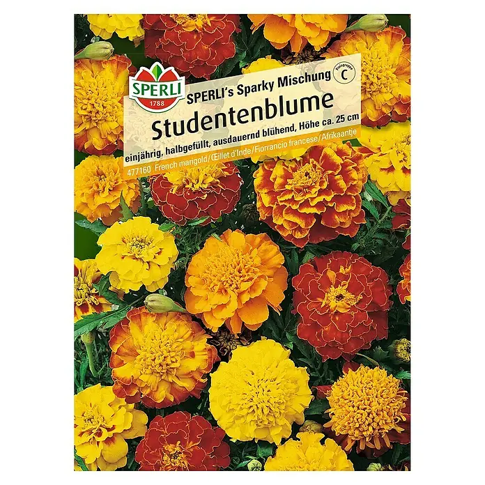 Sperli Blumensamen Studentenblume - Tagetes erecta, Blütezeit: Mai - Packung Studentenblume 'Sparky Mischung' von Sperli mit gelben, orangefarbenen und rotbraunen Blüten.