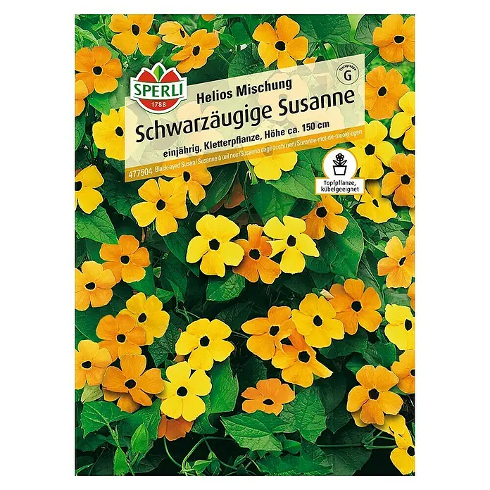 Sperli Blumensamen Schwarzäugige Susanne - Thunbergia alata, Blütezeit: Mai - Samenpackung Schwarzäugige Susanne 'Helios Mischung' von Sperli. Einjährige Kletterpflanze für Kübel, Höhe ca. 150 cm.