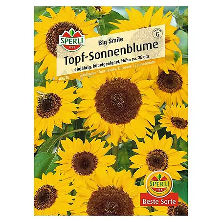 Sperli  Blumensamen Sonnenblume