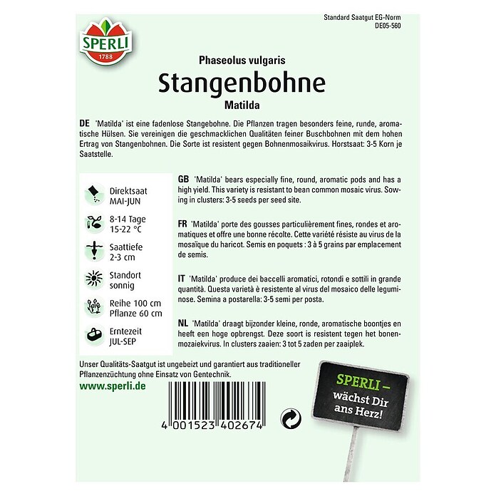 STANGENBOHNE MATILDA