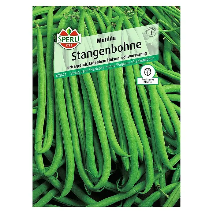 Sperli Gemüsesamen Stangenbohne - Matilda, Phaseolus vulgaris, Erntezeit: Juli - Abbildung des Samens der 'Matilda' Stangenbohne von Sperli, ertragreich und resistent.