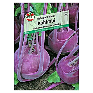 Sperli Gemüsesamen Kohlrabi (Superschmelz, Brassica oleracea, Erntezeit: Juni)