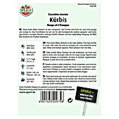 KUERBIS ROUGE       TRES HATIF D'ETAMPES