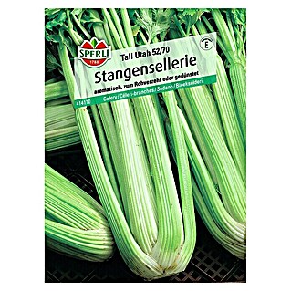 Sperli Gemüsesamen Stangensellerie (Apium graveolens var. dulce, Erntezeit: August - November)