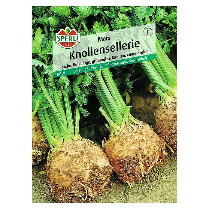 Sperli Gemüsesamen Knollensellerie - Apium graveolens, Erntezeit: September - Das Bild zeigt eine Packung Knollensellerie "Mars" der Marke Sperli. Zu sehen sind die runden, beigen Knollen mit grünen Stielen.