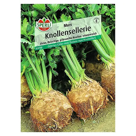 Sperli  Gemüsesamen Knollensellerie