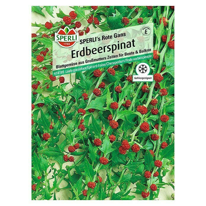 Sperli Obstsamen ErdbeerspinatChenopodium foliosum, Erntezeit: Juni - Oktober Front View