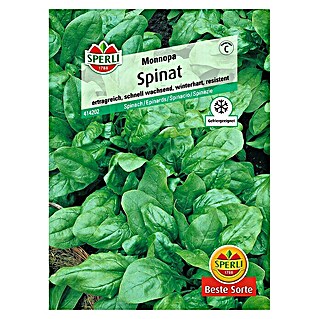 Sperli Gemüsesamen Spinat (Spinacia oleracea 'Monnopa', Erntezeit: April)