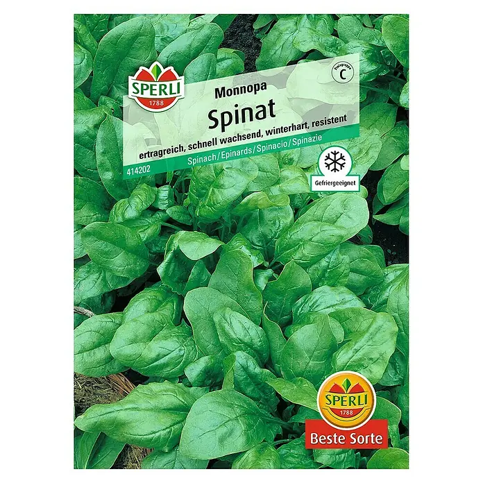 Sperli Gemüsesamen SpinatTetragonia tetragonioides, Erntezeit: April - SPERLI Monnopa Spinat-Samen: Ertragreiche, schnell wachsende Sorte für den Winteranbau und Gefriergeeignet. Beste Sorte für den Garten!