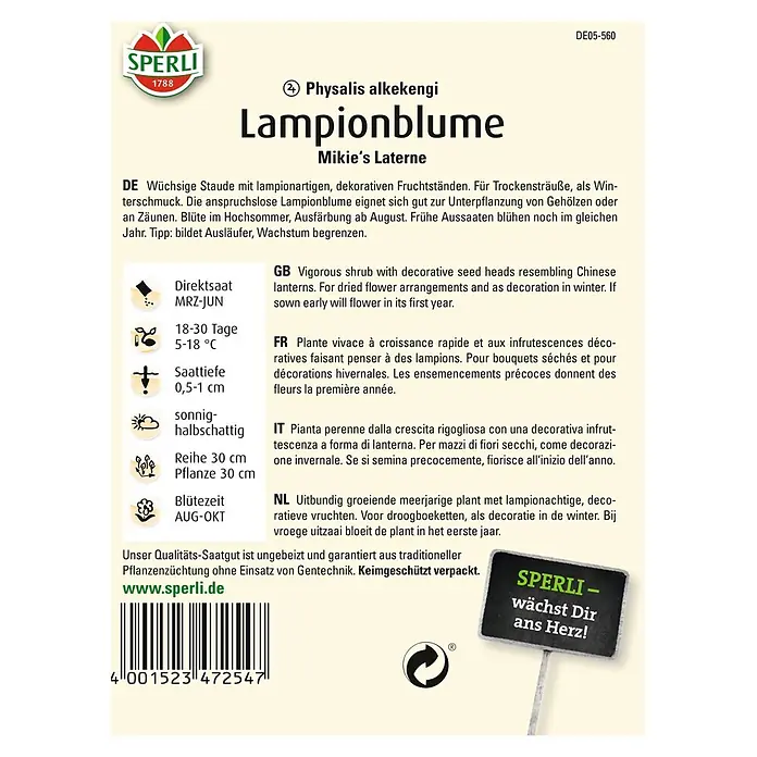 Sperli Blumensamen Lampionblume - Physalis alkekengi, Blütezeit: August - SPERLI Lampionblume 'Mikie's Laterne' Samenpackung. Für farbenfrohe Herbstdekorationen und leuchtende Akzente im Garten.