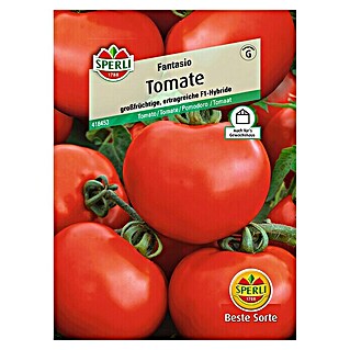 Sperli Gemüsesamen Tomate (Fantasio, Solanum lycopersicum, Erntezeit: Juli)