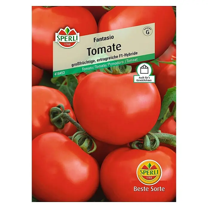 Sperli Gemüsesamen Tomate - Fantasio, Solanum lycopersicum, Erntezeit: Juli - Samentüte 'Fantasio Tomate', eine großfrüchtige F1-Hybride von Sperli, ideal für Gewächshäuser und bekannt für ihre reiche Ernte und beste Sorte.