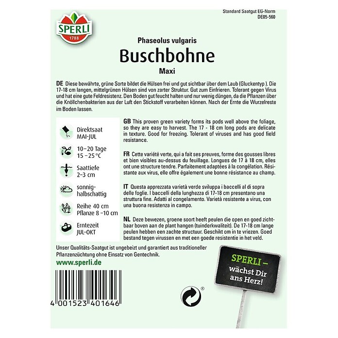 BUSCHBOHNE MAXI