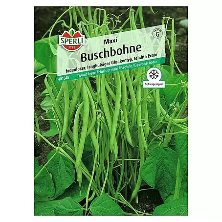 Sperli  Gemüsesamen Buschbohne