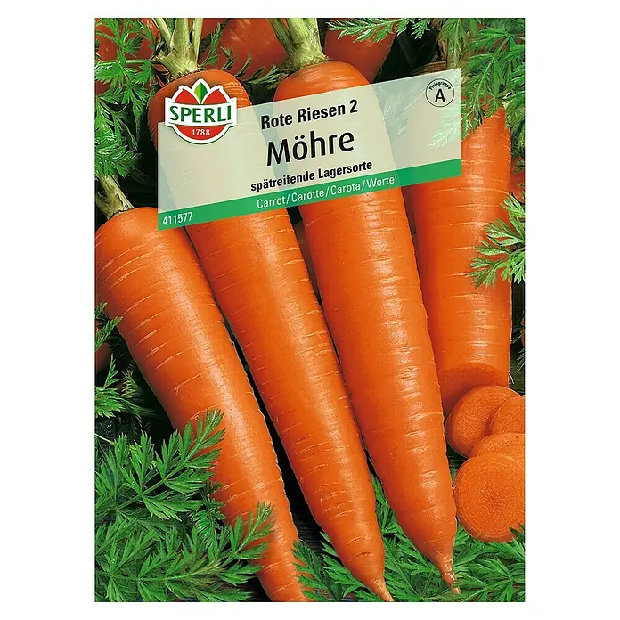 Sperli Gemüsesamen Möhre - Rote Riesen 2, Daucus carota, Erntezeit: Juli - Sämereipackung mit "Rote Riesen 2 Möhre" von Sperli, einer spätreifenden Lagersorte. Ideal für den Anbau großer, roter Karotten.