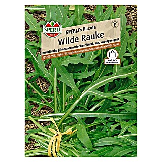 Sperli Kräutersamen Wilde Rauke (Diplotaxis tenuifolia, Saatzeit: März - August, Erntezeit: Ganzjährig)