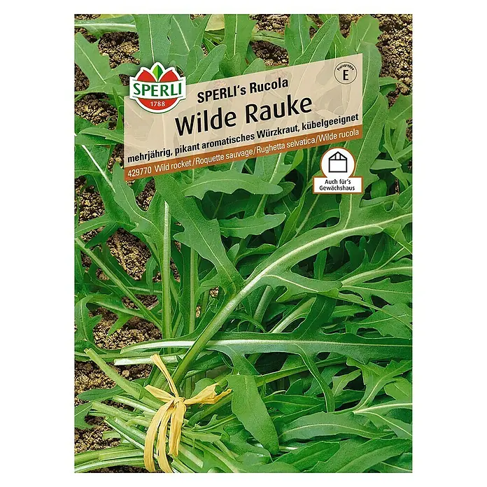 Sperli Kräutersamen Wilde Rauke - Diplotaxis tenuifolia, Saatzeit: März, Erntezeit: Ganzjährig - Wilde Rauke 'Sperli's Rucola': Mehrjährige, pikant-aromatische Würzkraut-Sorte, ideal für Kübel. Ein Genuss für jeden Feinschmecker!