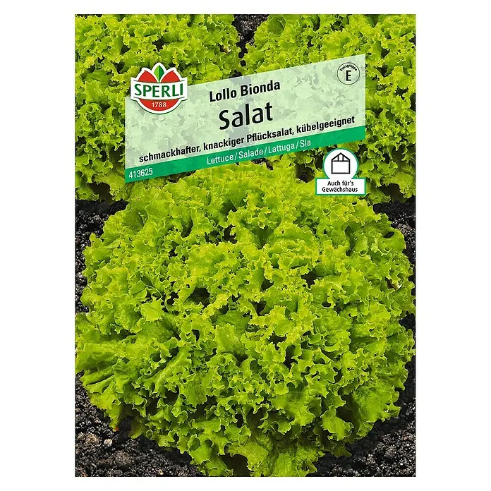 Sperli Salatsamen Pflücksalat - Lollo Bionda, Lactuca sativa, Erntezeit: April - Abbildung einer Samenpackung für Lollo Bionda Salat, eine schmackhafte und knackige Pflücksalatsorte.
