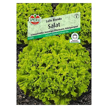 Sperli  Salatsamen Pflücksalat