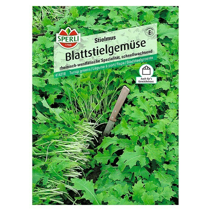 Sperli Gemüsesamen Blattstielgemüse (Brassica rapa, Erntezeit: Mai)