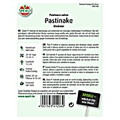PASTINAKE           GLADIATOR F1