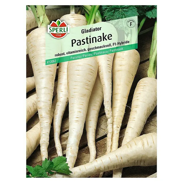 Sperli Gemüsesamen Pastinake - Pastinaca sativa, Erntezeit: Oktober - Samenpackung Gladiator Pastinake, eine robuste und vitaminreiche F1-Hybride für den Anbau im eigenen Garten.