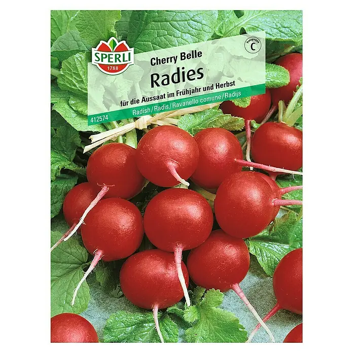 Sperli Gemüsesamen Radies - Cherry Belle, Raphanus sativus, Erntezeit: April - Samentüte Cherry Belle Radieschen.