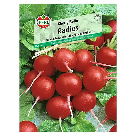 Sperli  Gemüsesamen Radies