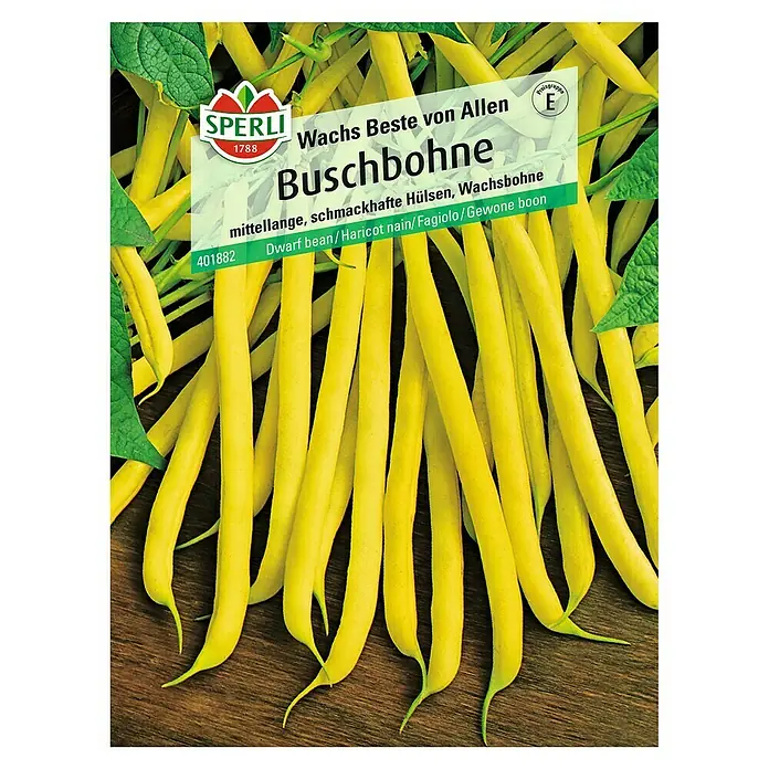 Sperli Gemüsesamen Buschbohne - Wachs Beste von Allen, Phaseolus vulgaris var. nanus, Erntezeit: Juli - Samenpackung Wachs-Buschbohne "Wachs Beste von Allen" von Sperli, gelbe, mittellange, schmackhafte Hülsen für den Garten.