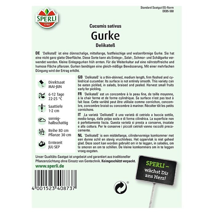 SALATGURKE          DELIKATESS
