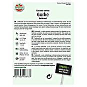 SALATGURKE          DELIKATESS