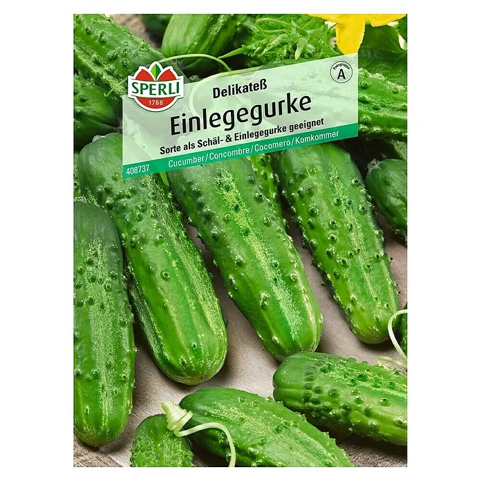 Sperli Gemüsesamen Einlegegurke - Delikateß, Cucumis sativus, Erntezeit: Juli - Abbildung von Samen der Delikatess-Einlegegurke von Sperli, ideal zum Einlegen und Schälen, mit der Sortenbezeichnung und dem Logo.