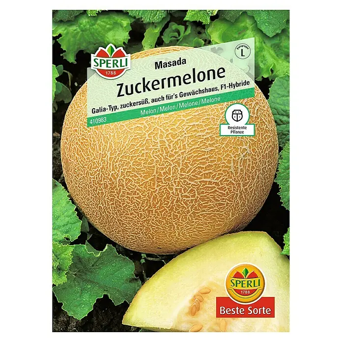 Sperli Obstsamen Melone - Cucumis sativus, Erntezeit: August - Abbildung einer Zuckermelone der Sorte Masada von Sperli, eine süße Galia-Melone, ideal für Gewächshäuser, als F1-Hybride und resistente Pflanze.