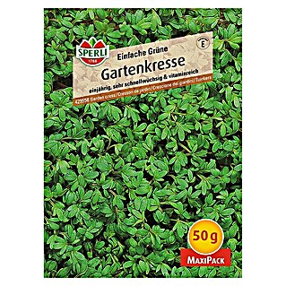 Sperli Kräutersamen Gartenkresse (Einfache Grüne - Maxi Pack, Lepidium sativum, Saatzeit: April, Erntezeit: Ganzjährig)