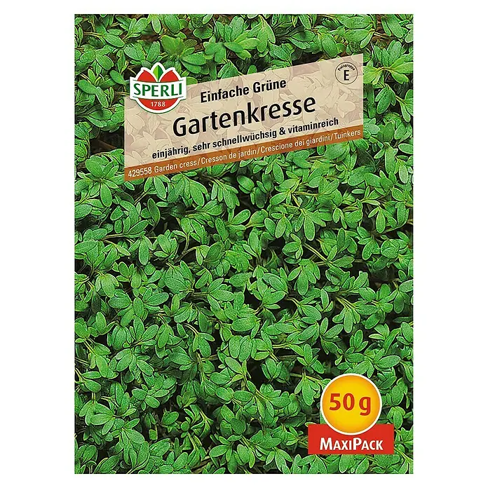 Sperli Kräutersamen GartenkresseEinfache Grüne - Maxi Pack, Lepidium sativum, Saatzeit: April, Erntezeit: Ganzjährig - Bild einer Packung Gartenkresse-Samen von Sperli, MaxiPack mit 50g Inhalt.