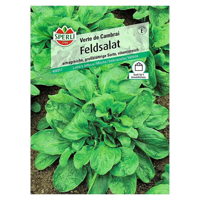 Sperli Salatsamen Feldsalat - Valerianella locusta, Erntezeit: April - Vorderansicht