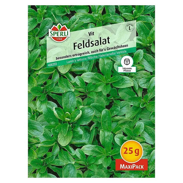 Sperli Salatsamen Feldsalat - Vit - Maxi Pack, Valerianella locusta, Erntezeit: Ganzjährig - Samenpackung für Feldsalat "Vit" von Sperli, eine ertragreiche Sorte, die sich auch für Gewächshäuser eignet. Maxipack mit 25g Inhalt.